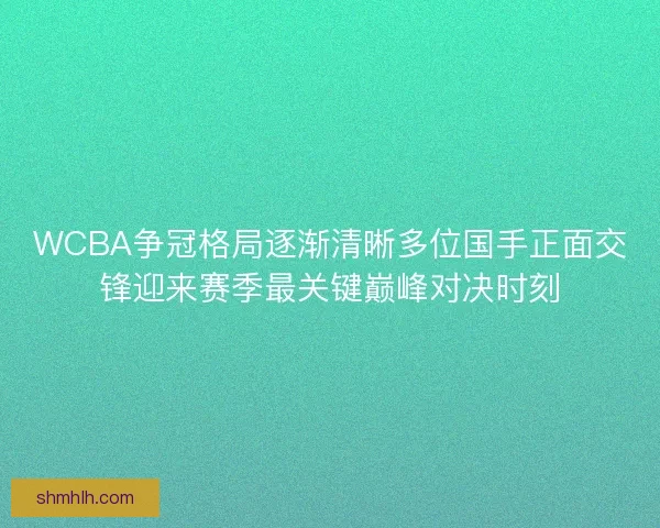 WCBA争冠格局逐渐清晰多位国手正面交锋迎来赛季最关键巅峰对决时刻